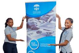 Insurance Visual 4